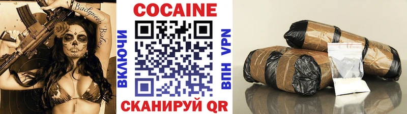 Купить закладки  Нытва  Cocaine FishScale 