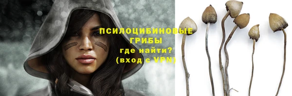 стафф Волоколамск